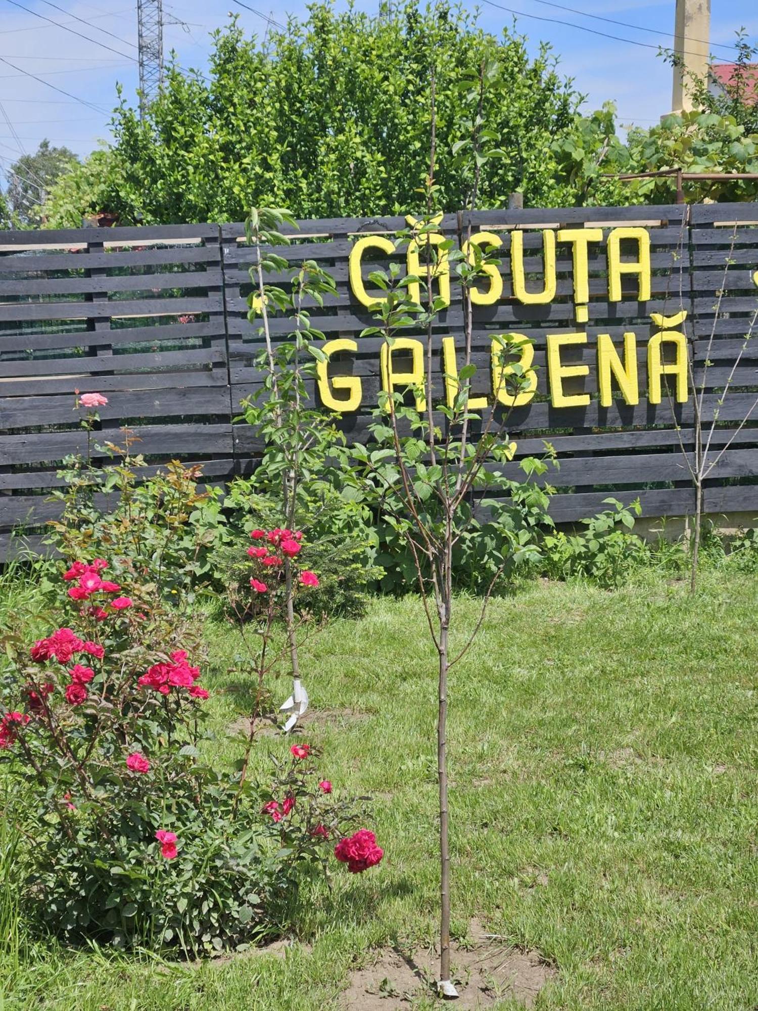 Casuta Galbena Vila Eforie Nord Exterior foto